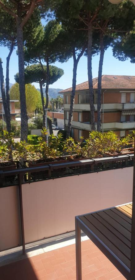 Carachouse-lido Di Camaiore, Tra Pini Marini E Mare