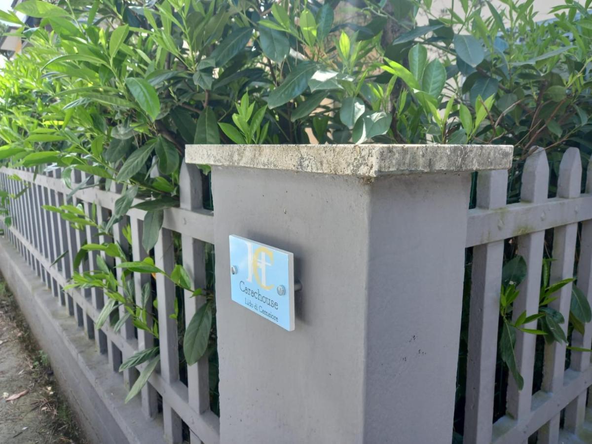 Apartment Carachouse-lido Di Camaiore, Tra Pini Marini E Mare