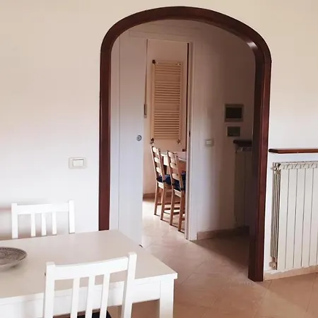 Carachouse-Lido di Camaiore, tra pini marini e mare Esterno foto