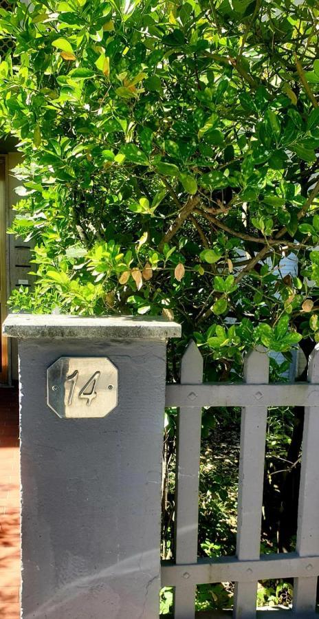 Apartamento Carachouse-lido Di Camaiore, Tra Pini Marini E Mare *