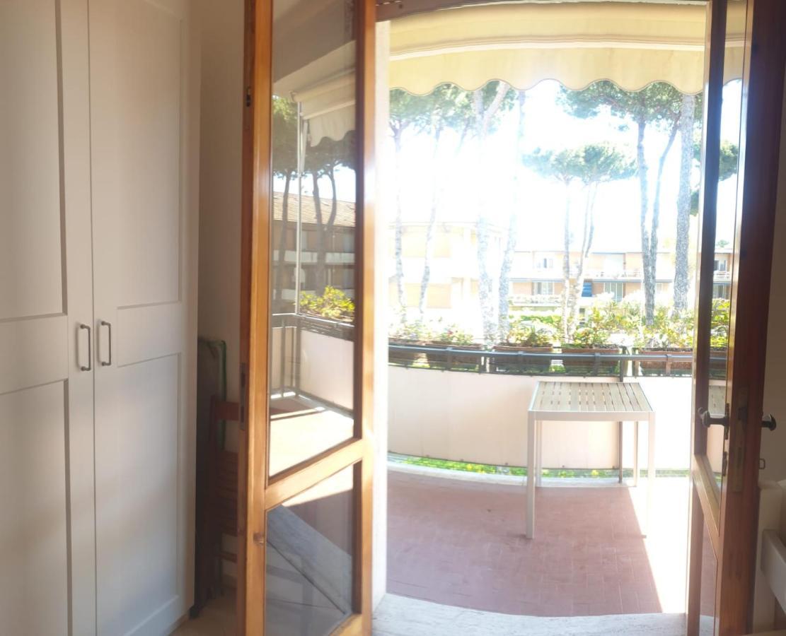 Carachouse-lido Di Camaiore, Tra Pini Marini E Mare