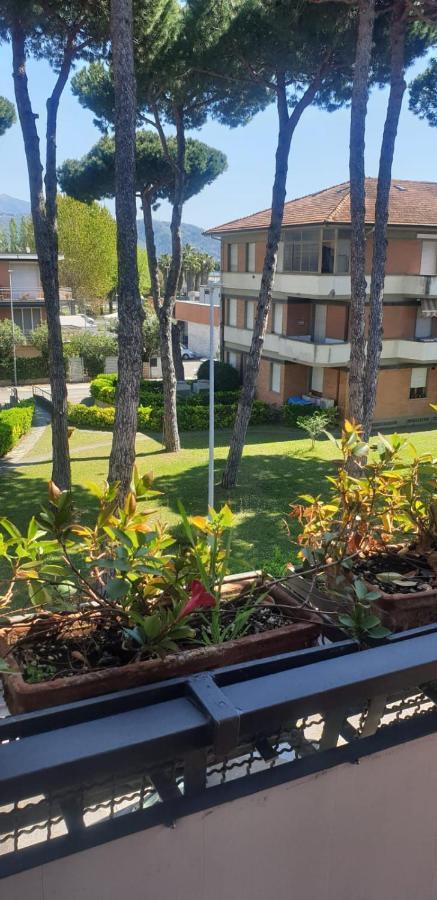 Carachouse-lido Di Camaiore, Tra Pini Marini E Mare Apartamento